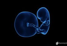 ගැබිනි සමයේ දහවන සතිය week-10