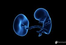 ගැබිනි සමයේ එකොලොස්වන සතිය week-11