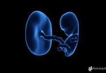 ගැබිනි සමයේ නමවන සතිය week-9