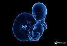 ගැබිනි සමයේ දහසයවන සතිය Week-16