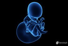 ගැබිනි සමයේ දහඅටවන සතිය Week-18