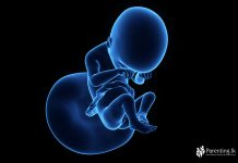 ගැබිනි සමයේ දහනවවන සතිය Week-19