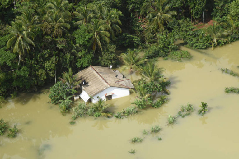 ගංවතුර සහ ඊට පසුව …