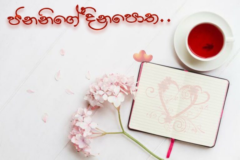 ජනනිගේ දිනපොත 02